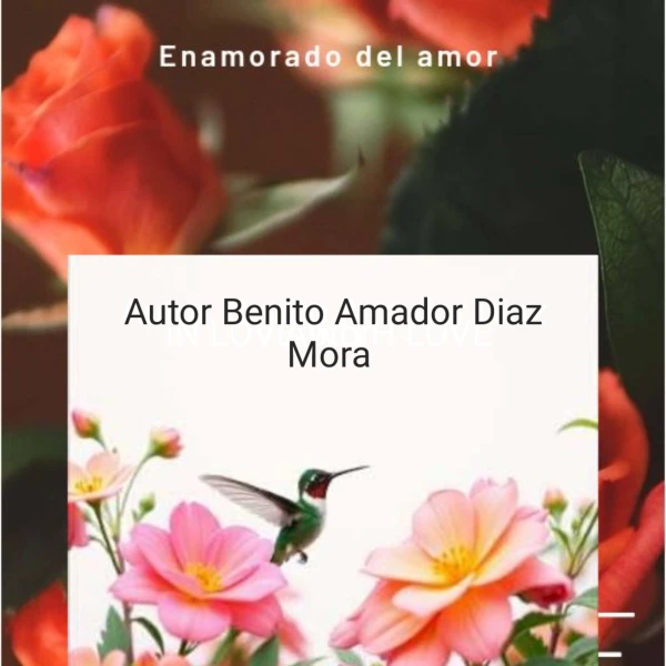 Enamorado del amor's foto | Ventas de libros y otros servicios |  BizneCubano